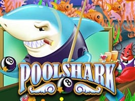 Pool Shark screenshot